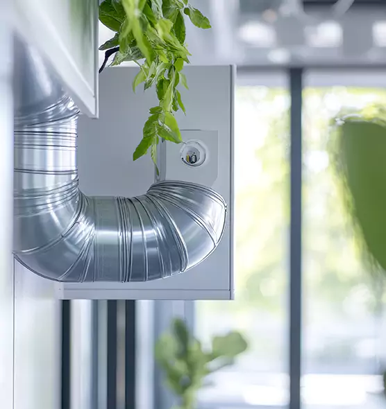 Professional Eco-Safe Dryer Vent Cleaning in Moraga, CA