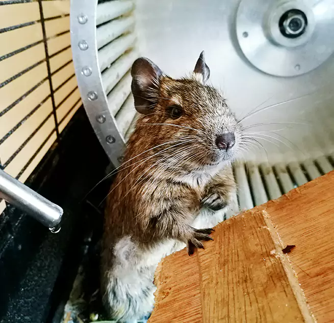 Why Homeowners & Businesses Trust Us Moraga, CA