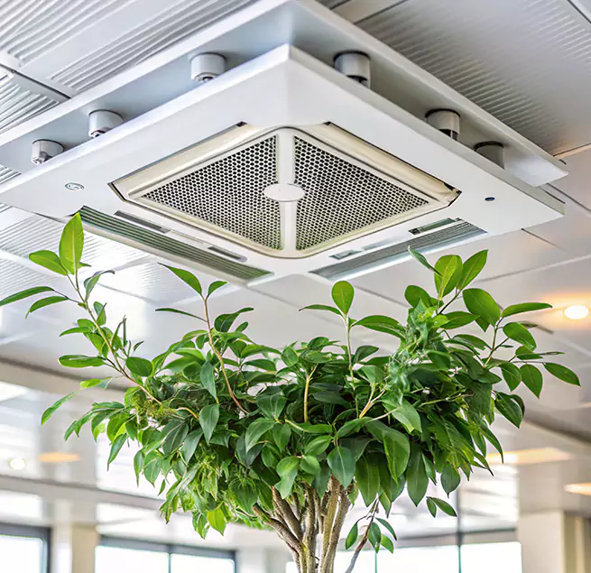 Why Homeowners & Businesses Trust Us in Moraga, CA