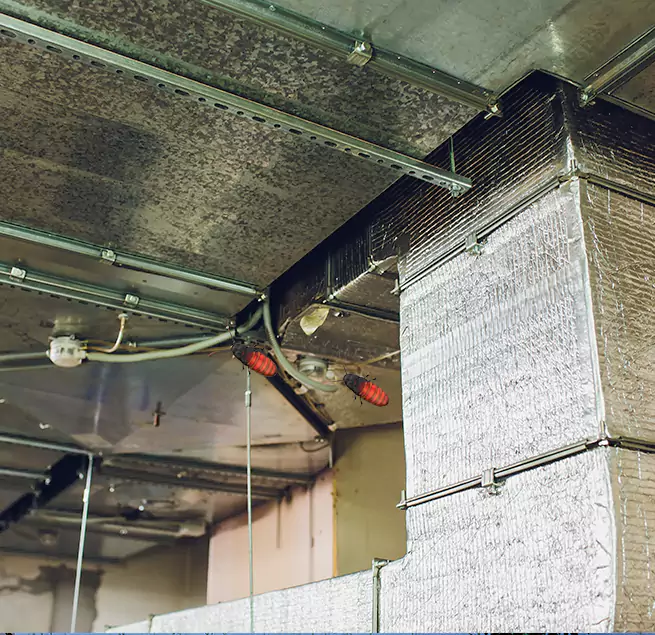 Why Homeowners & Businesses Trust Us Moraga, CA?