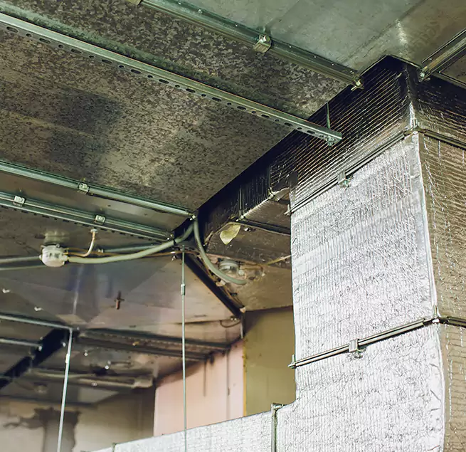 Why Homeowners & Businesses Trust Us in Moraga, CA?